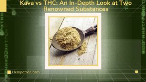 Kava vs THC: An In-Depth Look at Two Renowned Substances